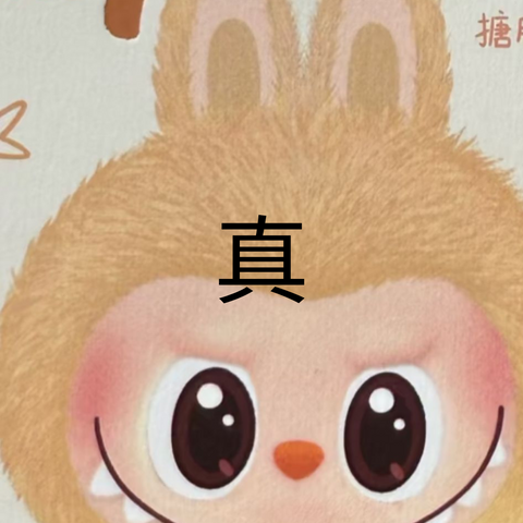 1_480x480 1_480x480